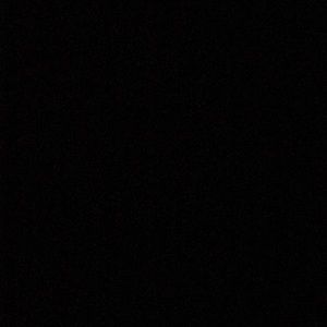 Meet your Posher, Riley